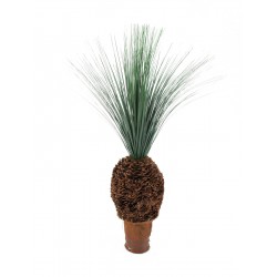 Palma Rain Grass 90 cm